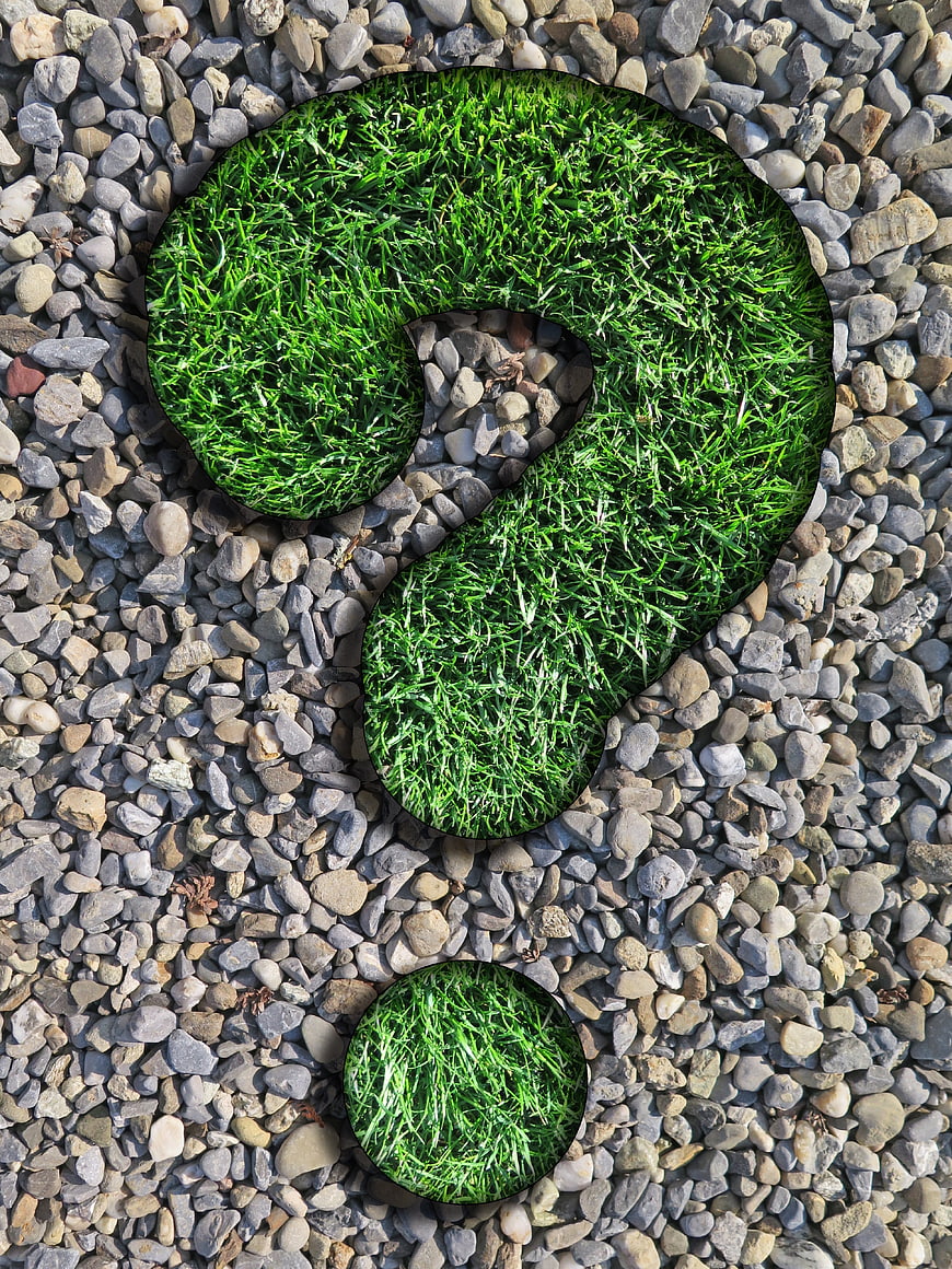 Green Grass Question Mark Shape on Gray Pebble Background