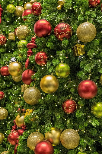 Close-up of Christmas tree with red and gold ornaments