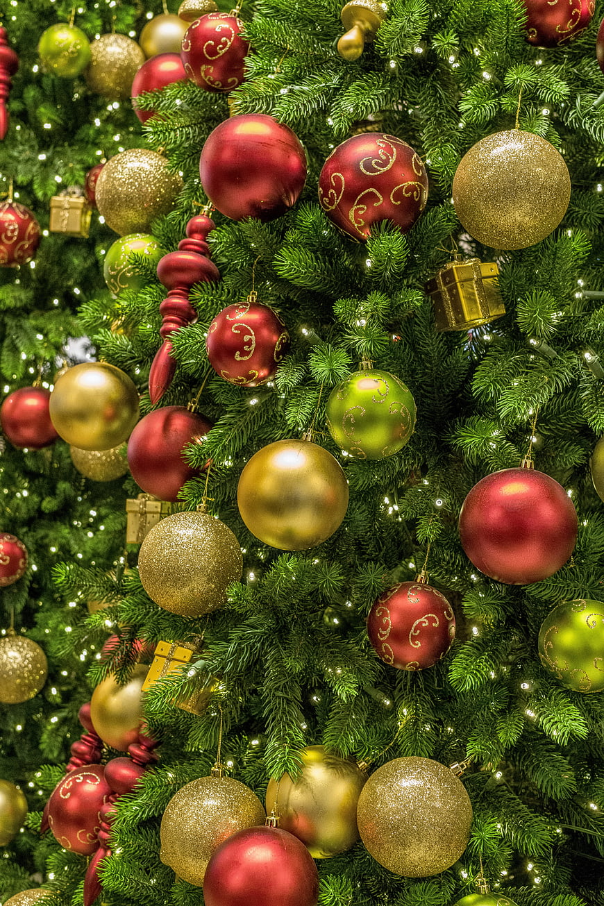 Close-up of Christmas tree with red and gold ornaments