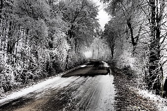 Black and white winter road through frosty forest