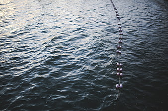 Line of pink buoys floating on dark rippling water