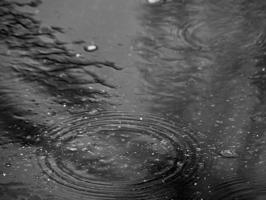 Black and White Rain Ripples in Puddle