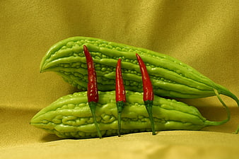 Bitter Melon and Red Chilies on Golden Background