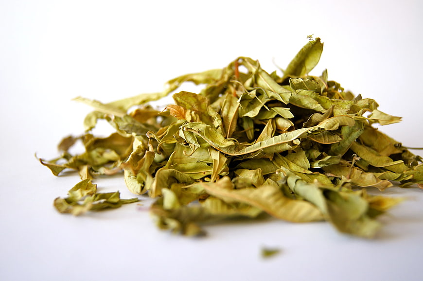 Pile of dried green leaves on white background