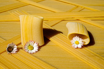 Raw Paccheri Pasta with Daisies on Spaghetti Background