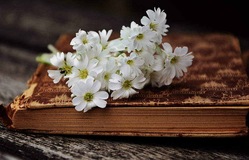 White flowers on vintage book rustic wood
