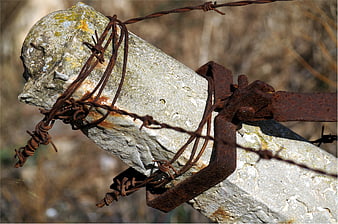 Rusty Barbed Wire on Weathered Concrete Post