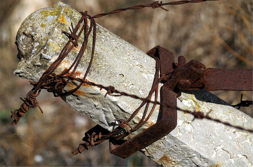 Rusty Barbed Wire on Weathered Concrete Post