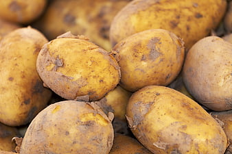 Close-up of fresh raw potatoes with soil texture
