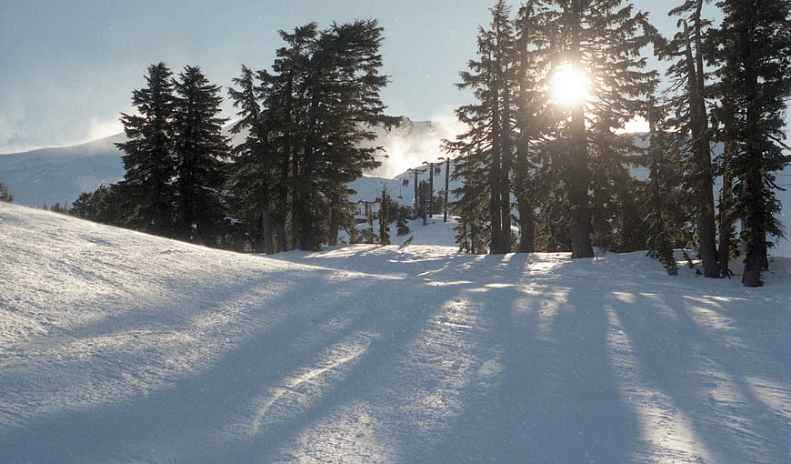 Sunlit Winter Ski Slope with Pine Trees and Lift