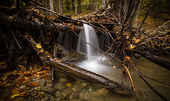 Autumn forest stream with long exposure waterfall and fallen leaves