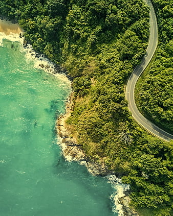 Aerial View of Coastal Road Winding Through Lush Green Forest
