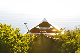 Canoe Resting in Green Bushes by Lake at Sunset