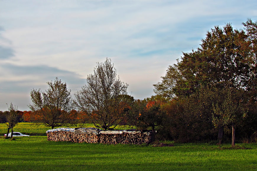 Stacked firewood in a green meadow with autumn trees