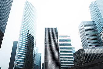 Low angle view of modern glass skyscrapers in a city
