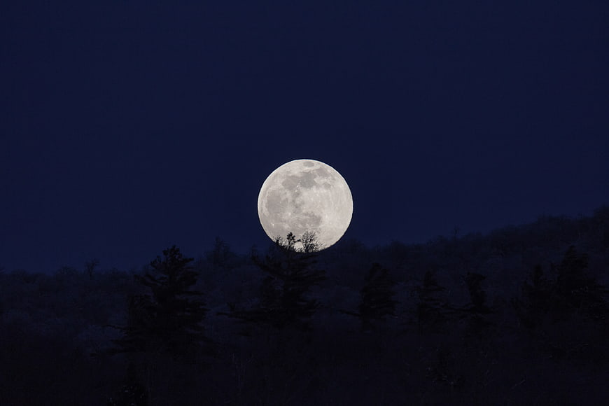 Full Moon Rising Over Dark Forest Silhouette at Night