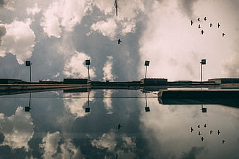 Symmetrical Reflection of Clouds and Birds in Urban Water