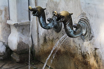 Antique brass dragon head water spouts on stone wall