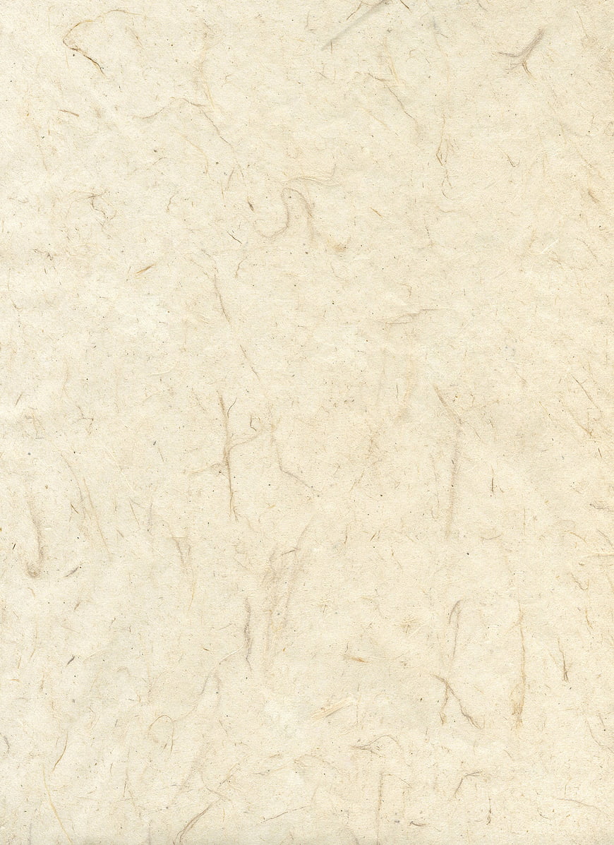 Textured handmade paper background with natural fibers