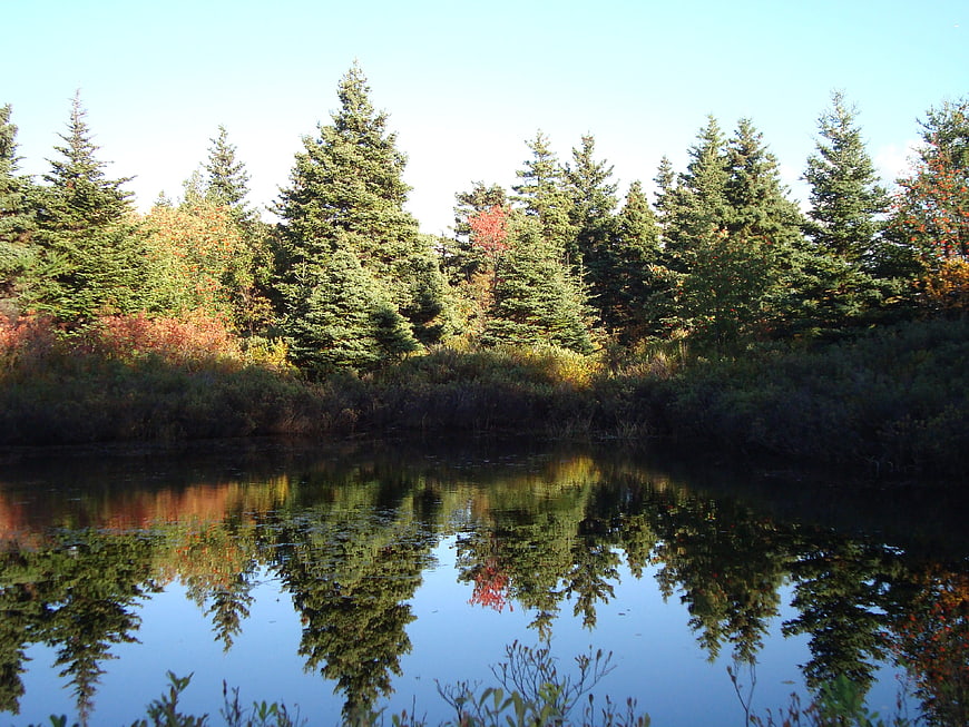 Autumn Forest Reflection In Calm Pond