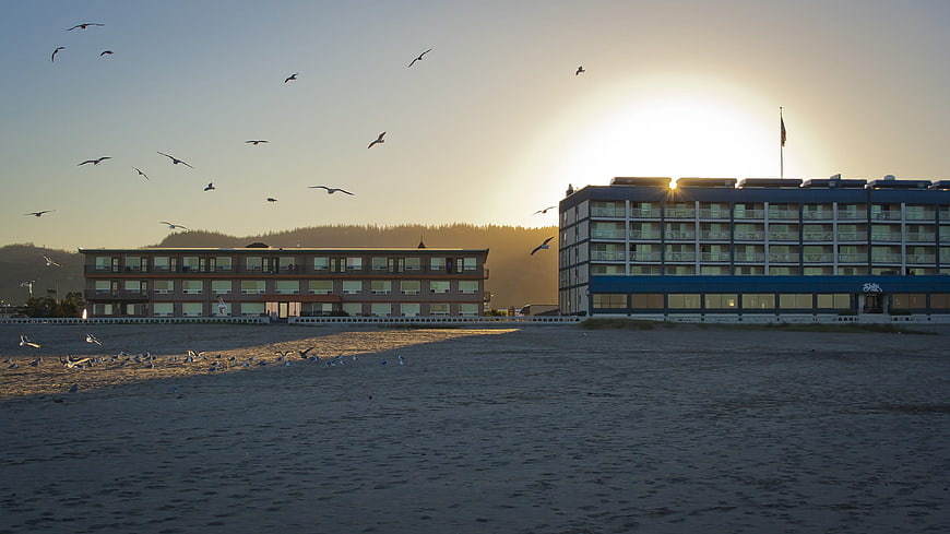 Seagulls Flying Over Beach at Sunset Near Hotels