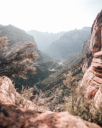 Misty Red Rock Canyon Landscape with Winding Trail