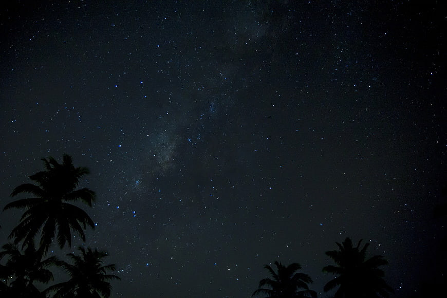 Milky Way Galaxy Over Silhouetted Palm Trees At Night