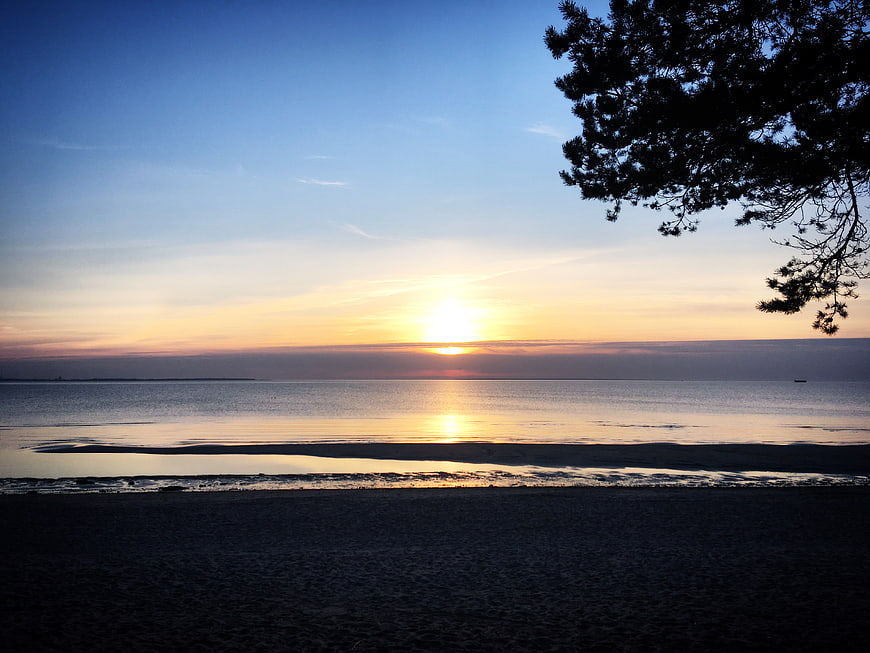 Serene sunset over calm ocean with silhouetted pine tree
