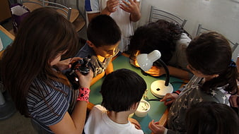 Children using microscope in science class