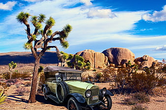 Vintage 1921 Hudson Phaeton in Desert Landscape with Joshua Tree