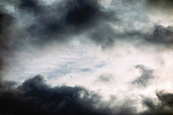 Dramatic dark storm clouds with birds flying in the sky