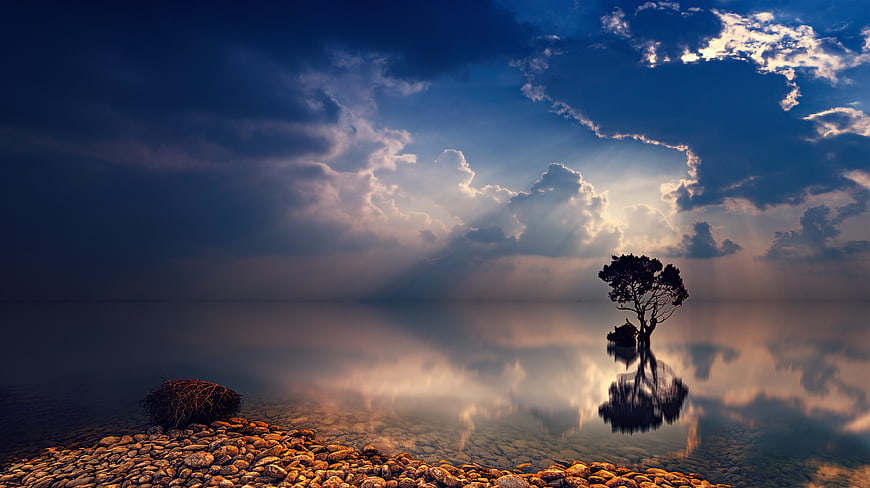 Solitary Tree Silhouette in Calm Lake with Dramatic Sunbeams