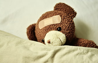Sick Teddy Bear With Bandage On Bed