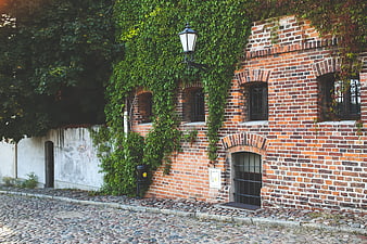 Old brick building with ivy on cobblestone street