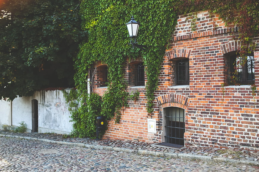 Old brick building with ivy on cobblestone street