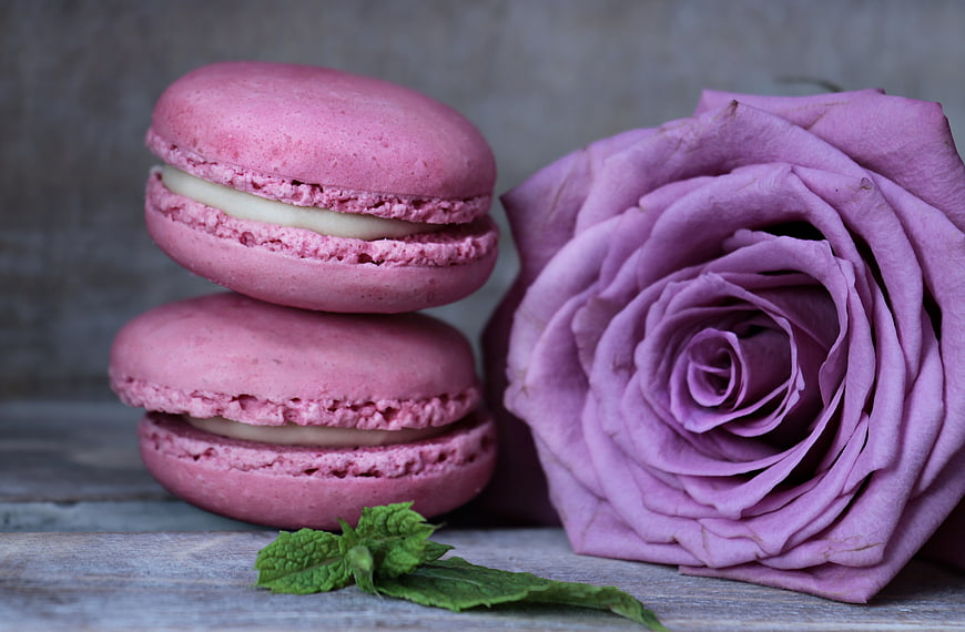 Pink macarons and purple rose on rustic wood