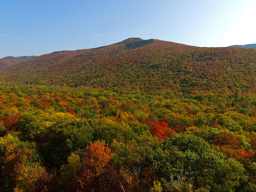 Vibrant Autumn Mountain Landscape with Colorful Forest Canopy