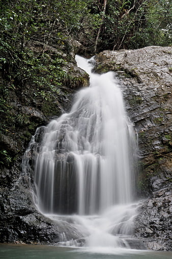 Serene waterfall cascading over rocks in lush forest