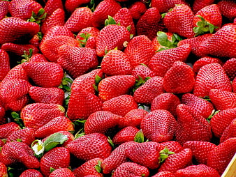 Close-up of fresh ripe red strawberries with green leaves