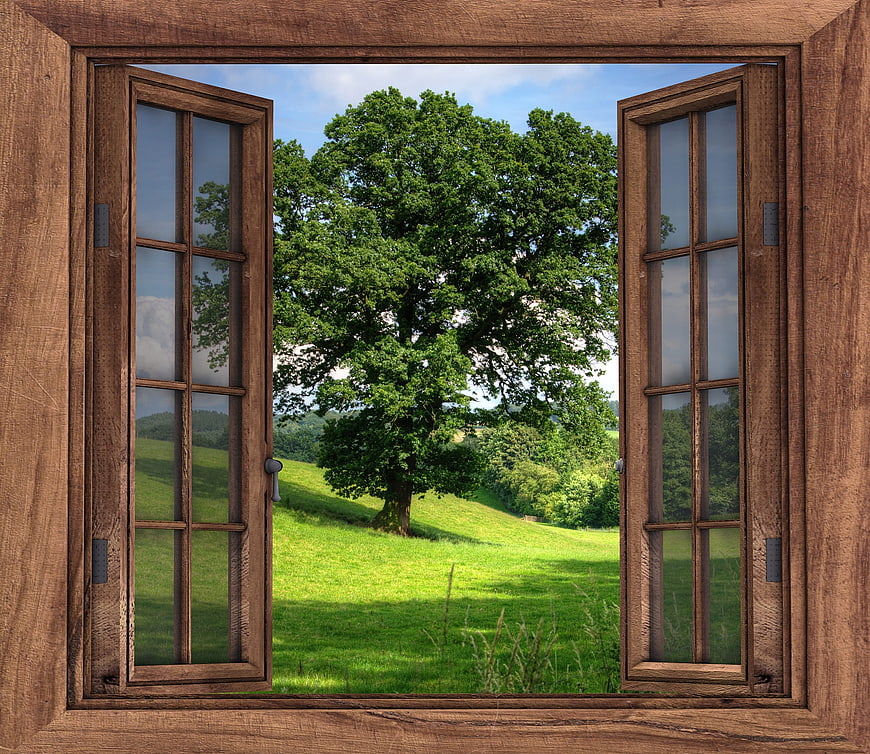 Open wooden window frame view of green summer landscape