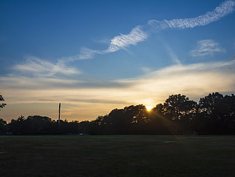 Sunset over a grassy field with silhouetted trees and clouds