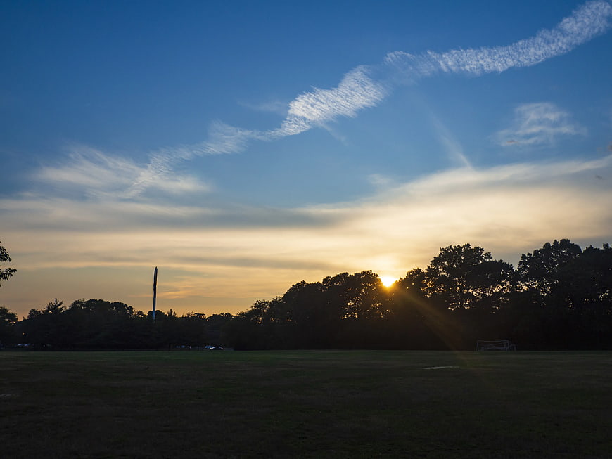 Sunset over a grassy field with silhouetted trees and clouds