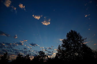 Silhouetted Trees Against Blue Sky with Sun Rays and Clouds