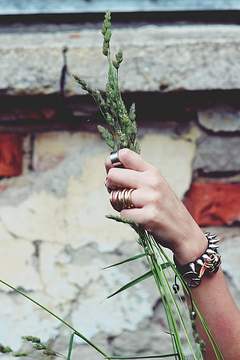 Hand holding grass with punk jewelry and spiked bracelet