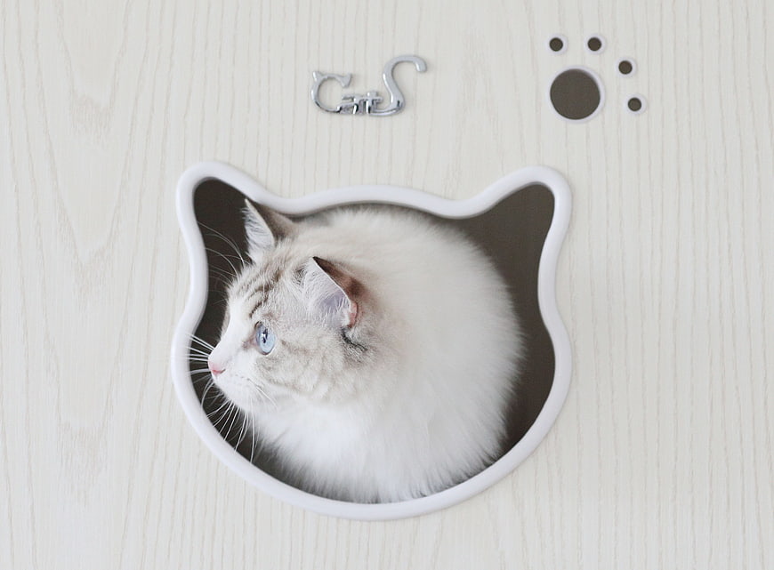 Fluffy white cat in cat-shaped mirror on light wood