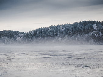 Frosty Winter Forest Landscape with Frozen Lake