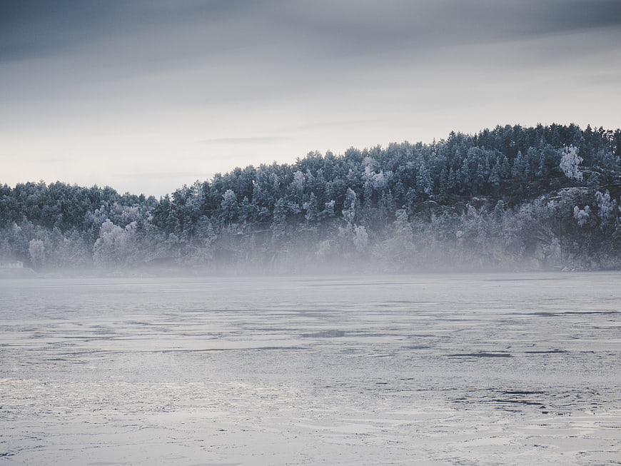 Frosty Winter Forest Landscape with Frozen Lake
