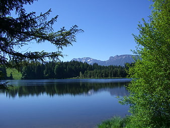 Serene Alpine Lake with Mountain Reflections and Pine Trees