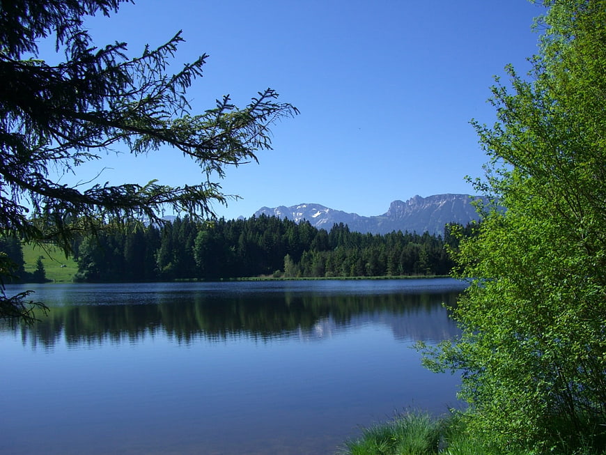 Serene Alpine Lake with Mountain Reflections and Pine Trees