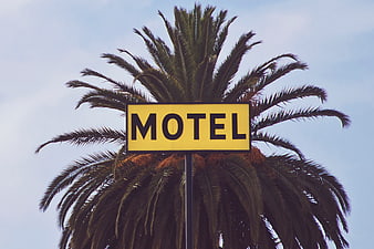 Yellow Motel Sign in Front of Palm Tree